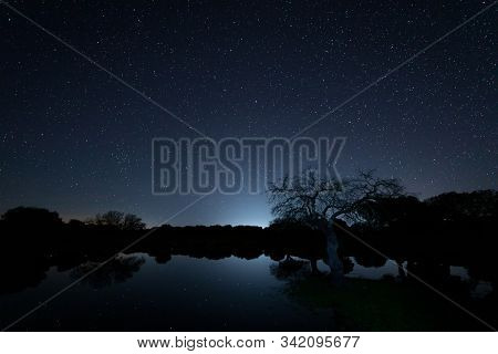 Night Landscape In A Lagoon Near Arroyo De La Luz. Extremadura. Spain.