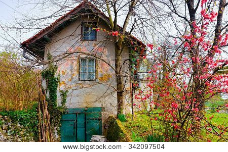 Cottage Country House In Village At Celje In Slovenia Reflex