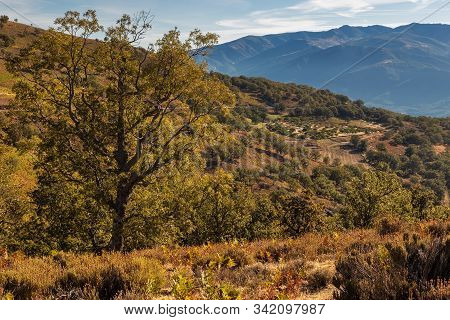 Landscape In Puerto De Honduras. Extremadura. Spain.