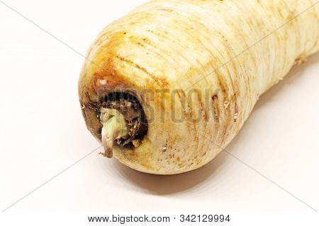 A Parsnip On White Background At My Home