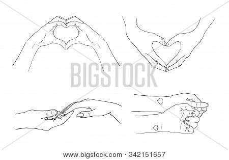 Sketch Of Hands, Hand Drawn Vector Line Art Illustration, Set, Collection