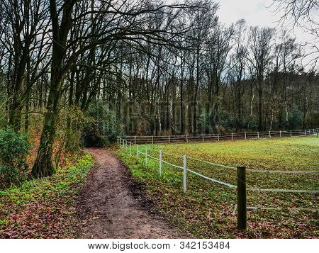 hiking near reken in the german muensterland