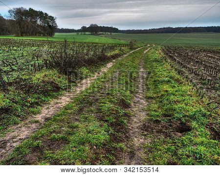 hiking near reken in the german muensterland