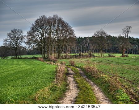 hiking near reken in the german muensterland