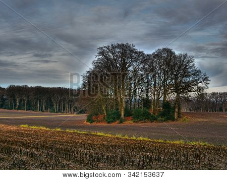 hiking near reken in the german muensterland