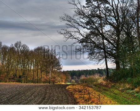 hiking near reken in the german muensterland