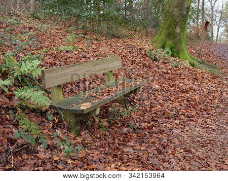 hiking near reken in the german muensterland