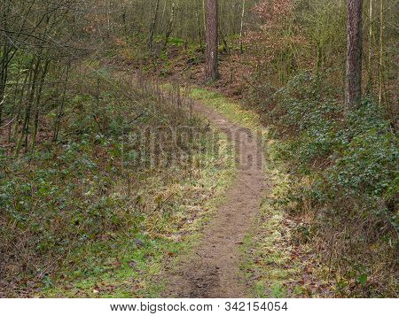 hiking near reken in the german muensterland