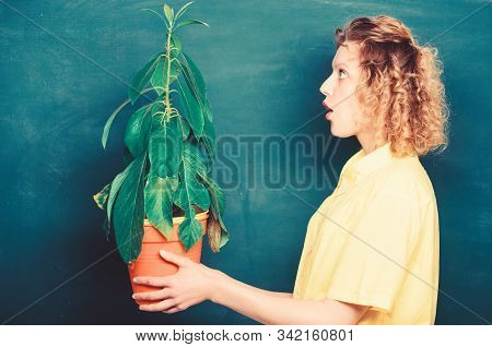 Florist Concept. Botany And Biology Lesson. Botany Education. Botanical Expert. Botany Is About Plan
