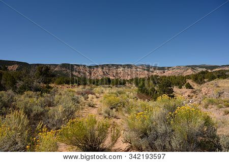 Yellow Rabbitbrush In Desert Landscape On Clear Day