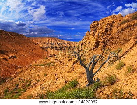 Canyon altopiano Ustyurt In Kazakistan