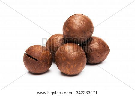 Raw Not Peeled Whole Macadamia Nuts With Shelled Kernels Isolated On White. Macro View. Healthy Food