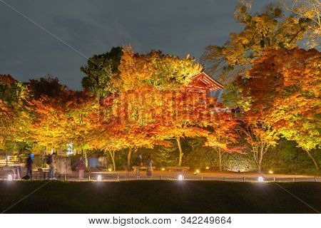 Byodoin Temple Pagoda And Lake With Red Maple Leaves Or Fall Foliage In Autumn Season. Colorful Tree