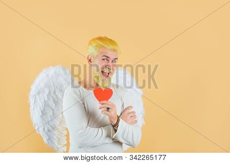 Handsome Angel Cupid. Bearded Man With Angel Wings. Valentines Day Card. Valentines Day. Angel Man W