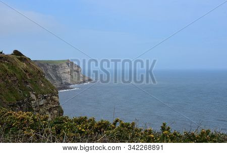 Robin Hood's Bay Sea Cliffs Along The Ocean