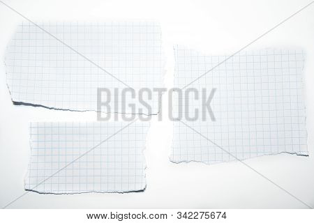 Paper Riped Math Math Torn Papers Image & Photo (Free Trial) | Bigstock