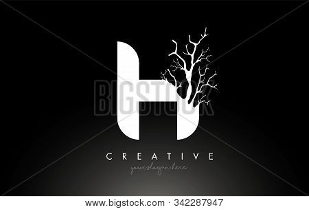 Letter H Design Logo With Creative Tree Branch. H Letter Tree Icon Logo  Vector Illustration.