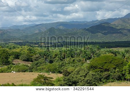 Valle De Los Ingenios (valley Sugar Mills) In Cuba, A Famous Tourist Destination And A Major Sugarca
