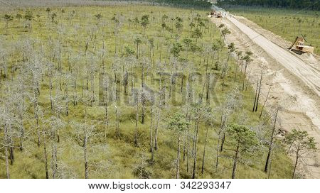 The Excavator Works On The Consruction Of The Road Through The Swamp Olmany. Ecological Problem.