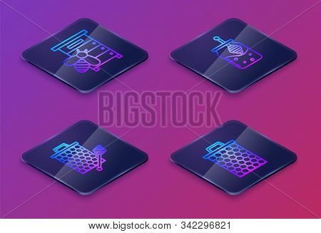 Set Isometric Line Hive For Bees, Honeycomb With Honey Dipper Stickicon, Jar Of Honey And Honey Dipp