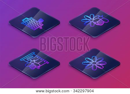 Set Isometric Line Honeycomb With Honey Dipper Stickicon, Hive For Bees, Bee And Flower And Flower. 