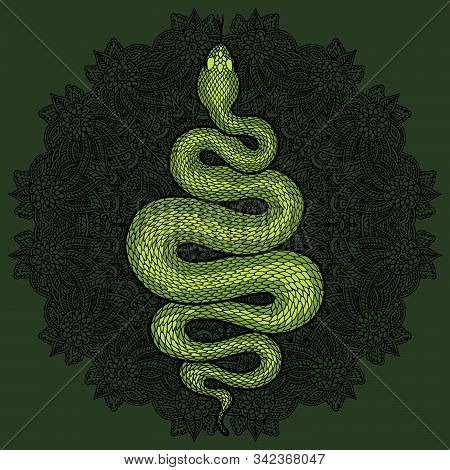 Coiled Snake Over Floral Mandala Detailed Illustration. Green Tribal Serpent Isolated Over Dark Back