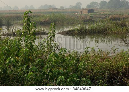Swamp Land With Straw Huts In The Background