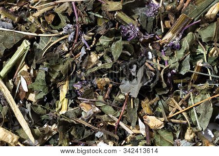 Dry Green Oolong Tea Leaves Texture Background.