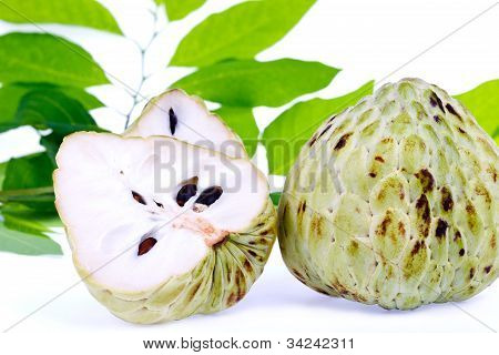 Čerstvé Custard Apple