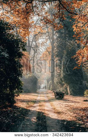 Monring Sunlight Ray Shines Through Woods In Ohlsdorf Cemetery During Fall, Hamburg City, Germany