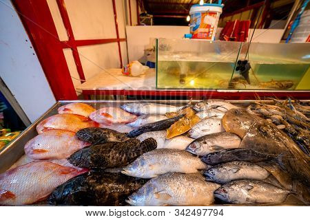 Various Raw Seafood On Display At A Local Street Food Market In Phuket, Thailand.