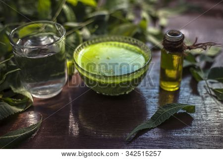 Hair Remedy Of All-purpose Ayurvedic Medicinal Herb I.e. Neem Or Nim Or Indian Lilac In A Glass Bowl