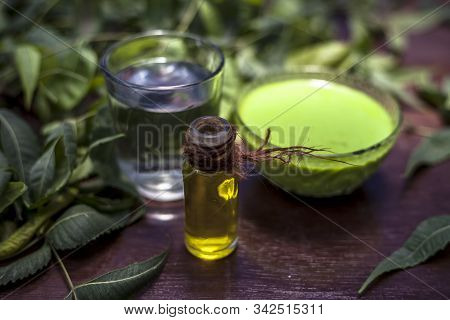 Hair Remedy Of All-purpose Ayurvedic Medicinal Herb I.e. Neem Or Nim Or Indian Lilac In A Glass Bowl