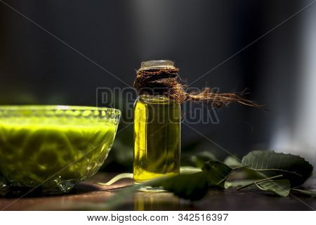Hair Remedy Of All-purpose Ayurvedic Medicinal Herb I.e. Neem Or Nim Or Indian Lilac In A Glass Bowl