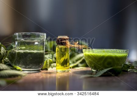 Hair Remedy Of All-purpose Ayurvedic Medicinal Herb I.e. Neem Or Nim Or Indian Lilac In A Glass Bowl