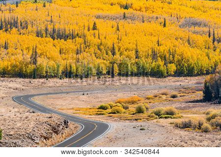 Winding Autumn Road Through The San Juan Mountains Of Colorado Along Route 149 Near Lake City