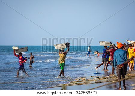 Tanji, The Gambia - November 21, 2019: Scene With Men And Women Carrying Fish From The Boats To The