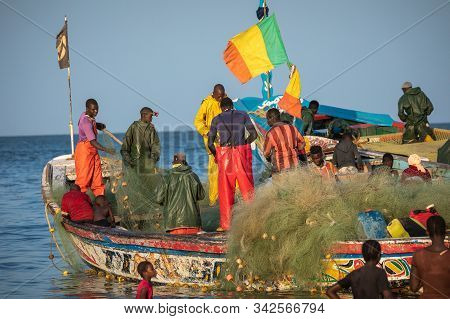 Tanji, The Gambia - November 21, 2019: Scene With Men And Women Carrying Fish From The Boats To The