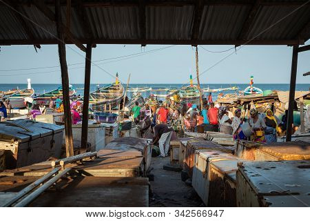 Tanji, The Gambia - November 21, 2019: Scene With Men And Women Carrying Fish From The Boats To The