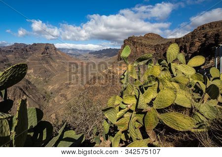 View Of The Mountain Landscape From Viewpoint Degollada De Las Yeguas. Cactus In The Foreground. Gra
