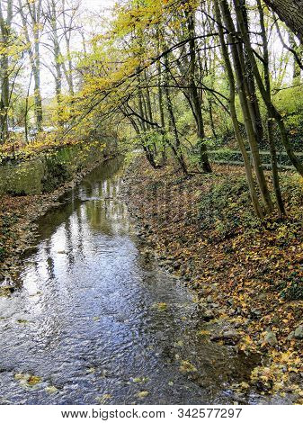 Golden Glow Of Autumn Tree Leaves Reflected In Little Stony Creek .