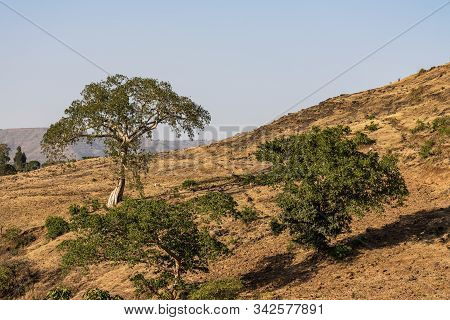 Landscape View Near The Blue Nile Falls, Tis-isat In Ethiopia, Africa