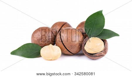 Macadamia Nuts With Leaves, Isolated On White Background. Shelled And Unshelled Macadamia.
