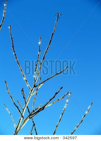 Přírodní diamanty