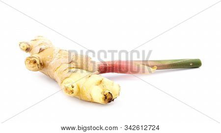 Fresh Ginger Root With Stem Isolated On White Background, This Is Asian Organic Herb Use For Health 