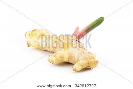 Fresh Ginger Root With Stem Isolated On White Background, This Is Asian Organic Herb Use For Health 