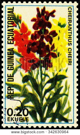 Moscow, Russia - December 31, 2019: Stamp Printed In Equatorial Guinea Shows Erysimum Cheiri (cheira