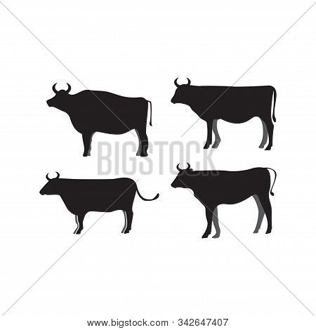 Cow Silhouette Icon Design Template Vector Isolated