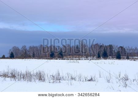 Winter Rural Landscape With Blueish Clouds Above Forest
