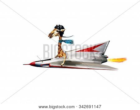 Funny Giraffe Pilot Fly Supersonic Jet Plane Fast